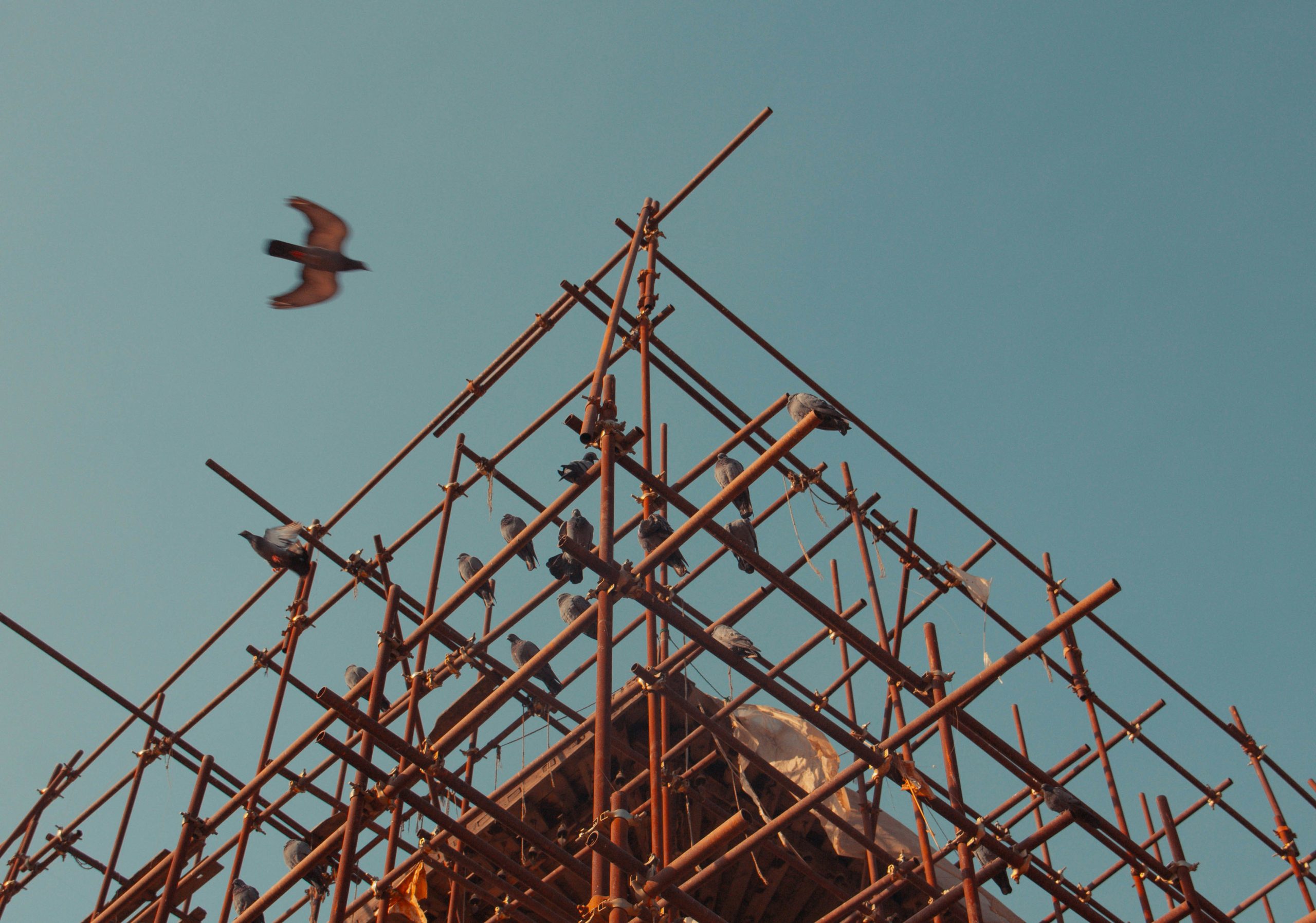 Leading scaffolding rental companies in Dubai providing top-tier equipment for construction.